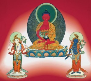 The Buddha of Limitless Light - the focus of Phowa practice